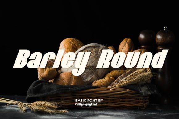 Barley Round Typeface for Modern Branding