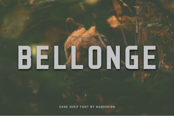 Bellonge: A Minimal Sans Serif for Modern Editorial Design