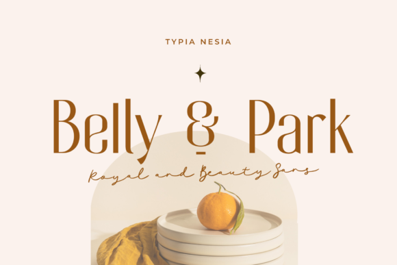 Belly and Park: A Condensed Vintage Sans Serif Font for Web Design