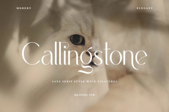 Callingstone Font Review for Modern Makers