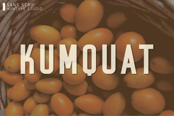 Kumquat Font for Bold Campaign Design