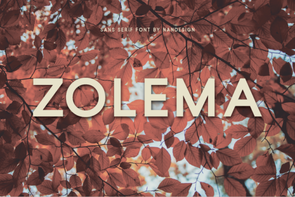 Zolema: A Minimal Sans Serif Font for Modern Web Design